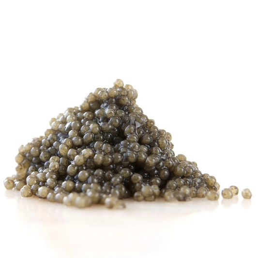 American Paddlefish Sturgeon Roe