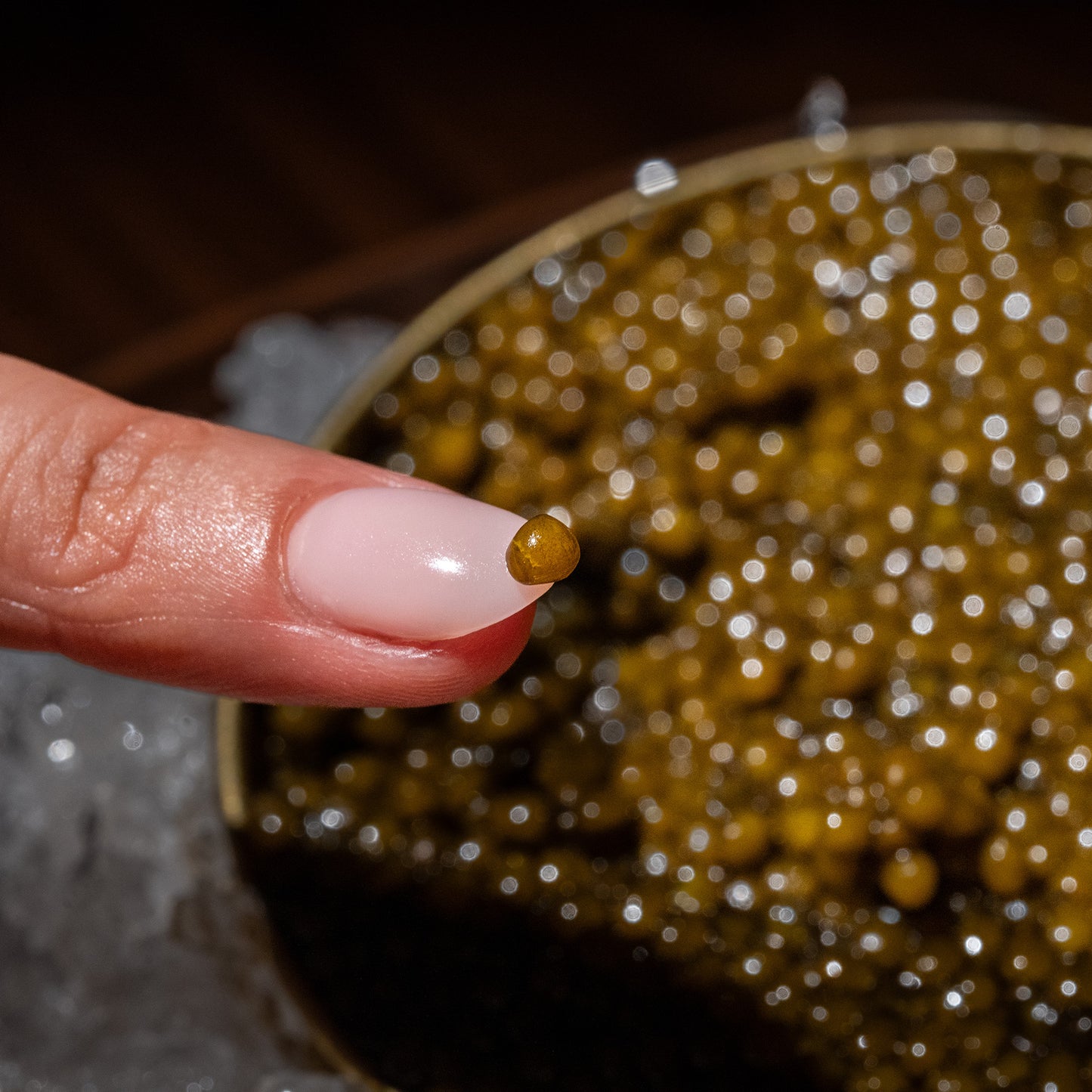 Golden Osetra Caviar