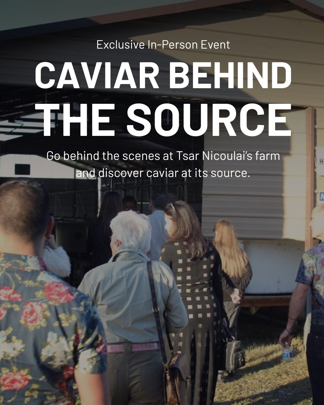 Caviar Behind the Source