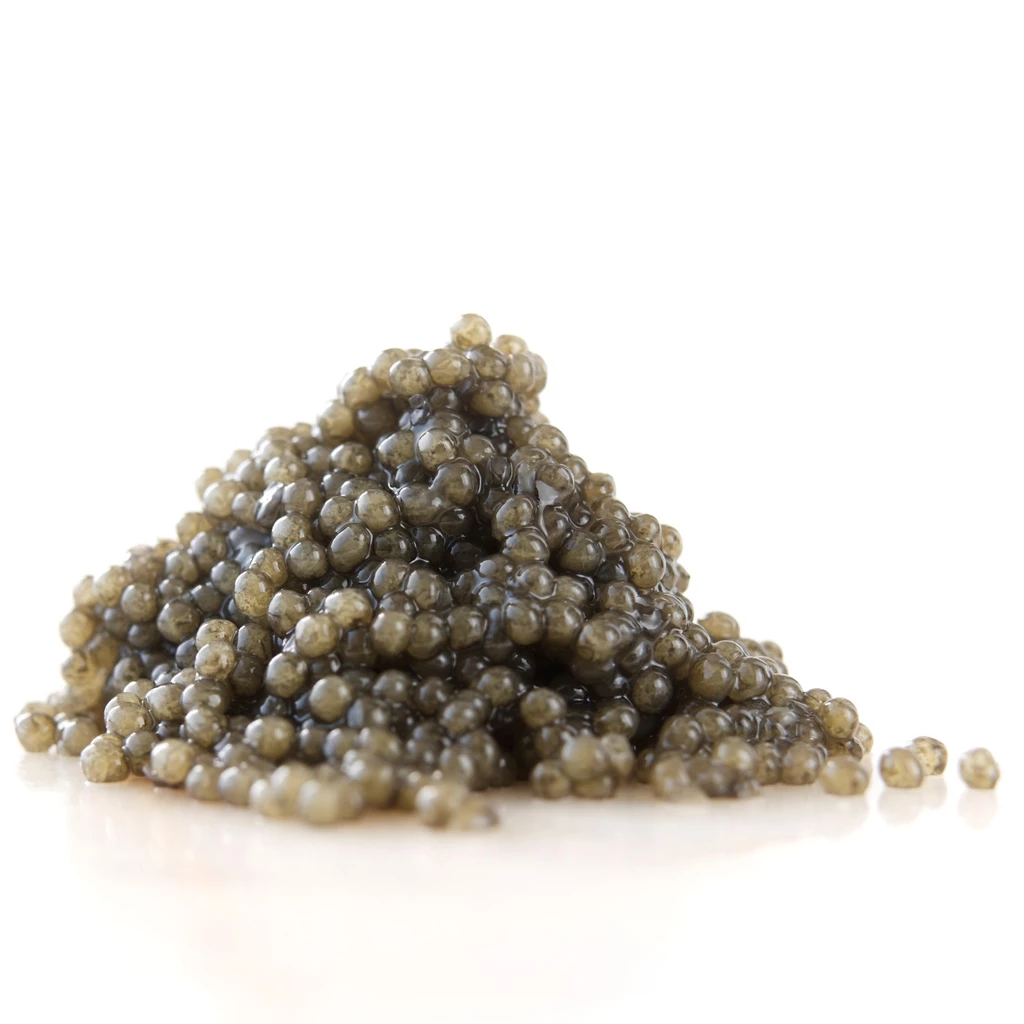 American Paddlefish Sturgeon Roe – Tsar Nicoulai Caviar